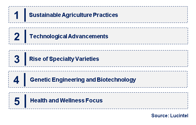 Emerging Trends in the Squash Seeds Market